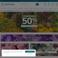 Primrose | The UK's Leading Online Garden Centre